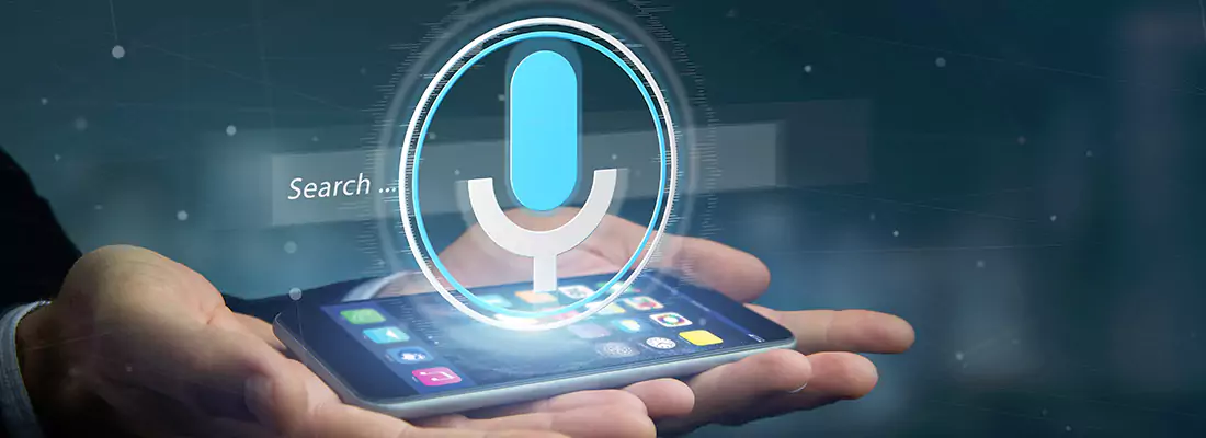Enhance Security with Voice Recognition Access Systems in Leisure City, FL
